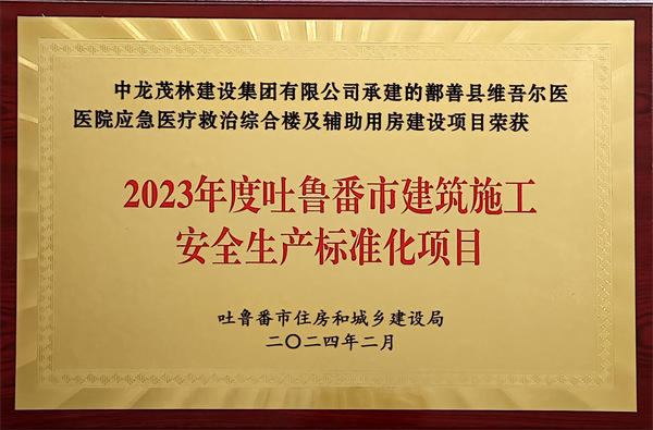 2024年鄯善縣維吾爾醫(yī)醫(yī)院應急醫(yī)療救治