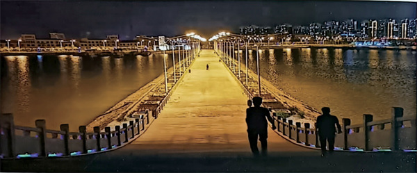 河北省滄州市渤海新區(qū)貝殼湖戰(zhàn)備路綠化項(xiàng)目