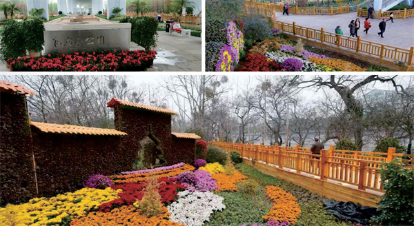 贛州市飛龍島園林景觀項(xiàng)目